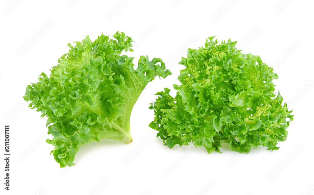 Obraz premium green frillice iceberg lettuce isolated on white background