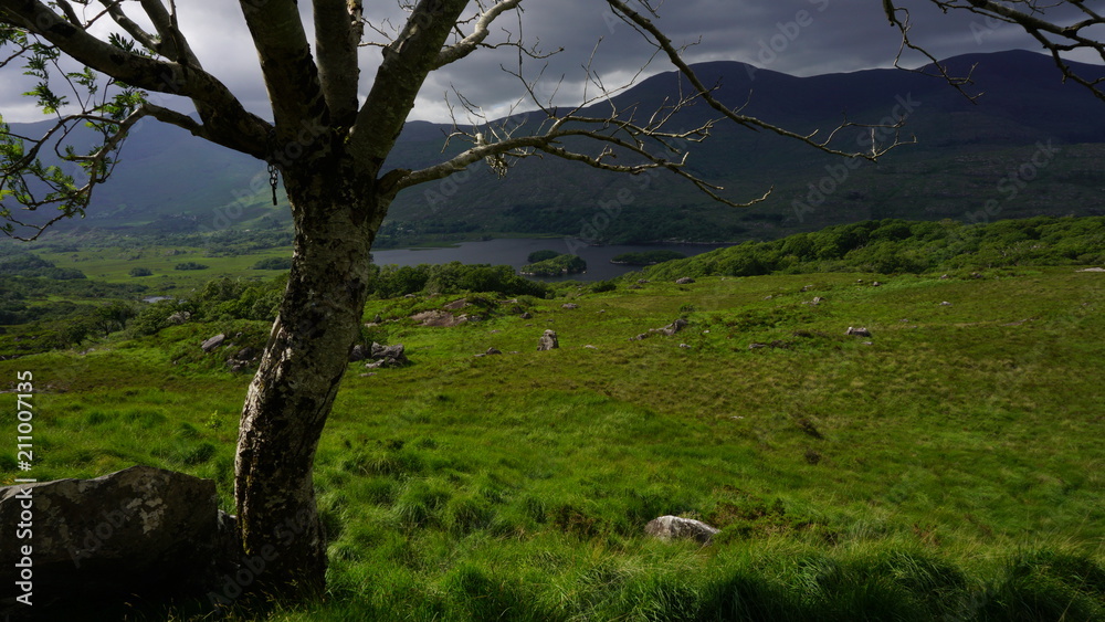 Fototapeta premium Ring of Kerry
