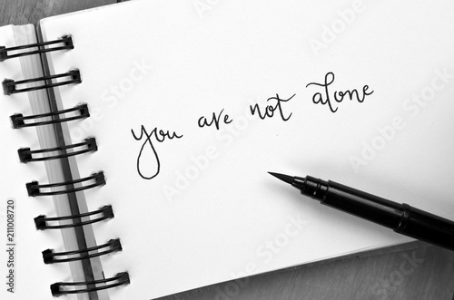 Photography YOU ARE NOT ALONE hand-lettered in notepad