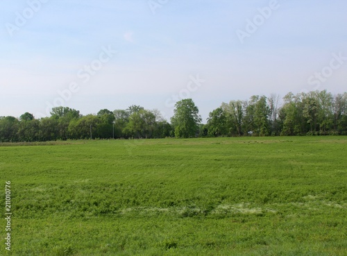 The green grass field in the countryside on a sunny day.