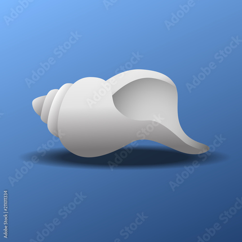 Conch shell vector illustration.