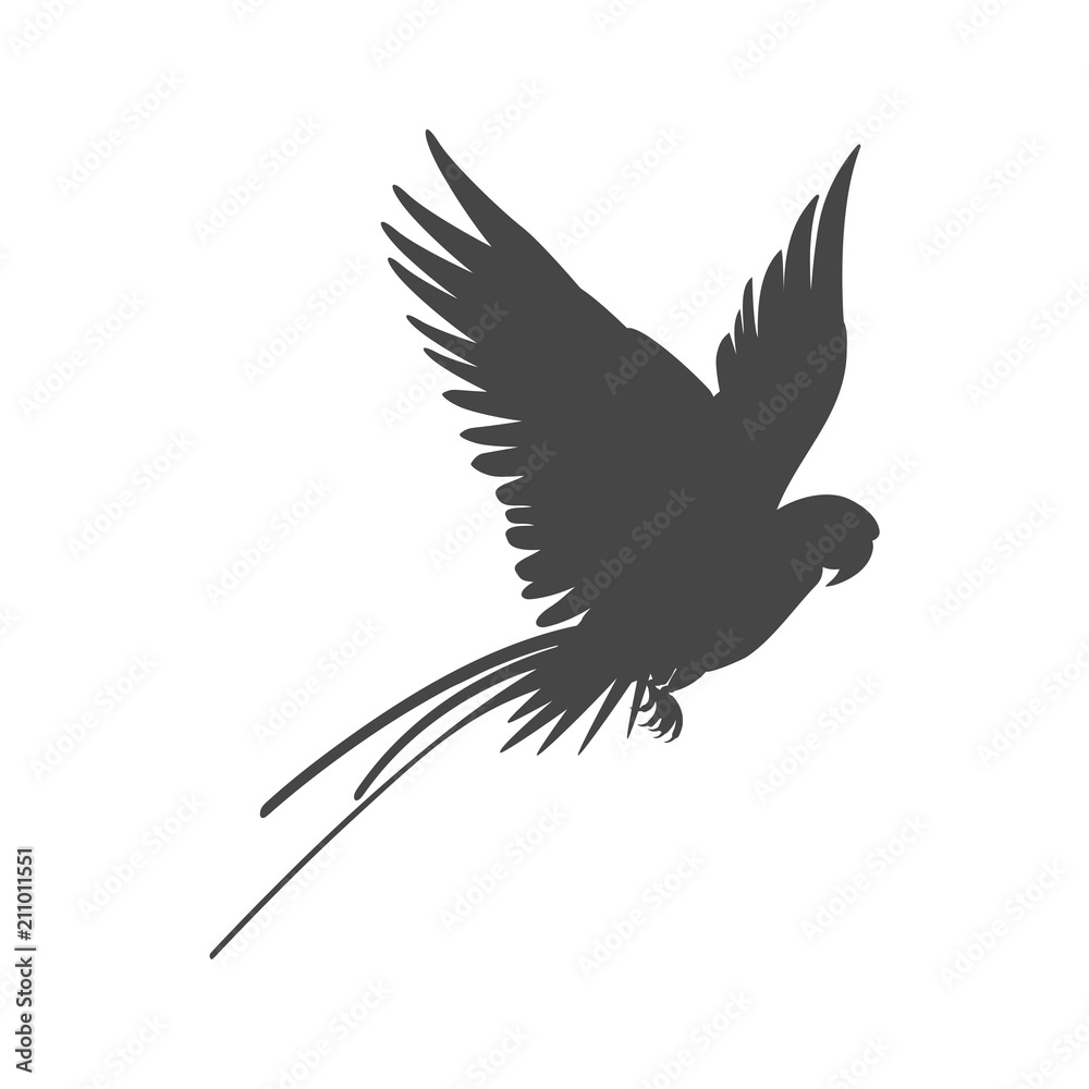 Parrot icon, vector illustration on white background Parrot icon, vector illustration on white background