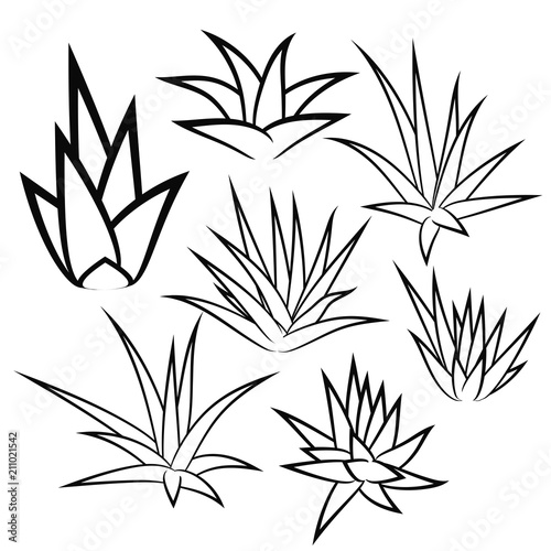 Aloe vera, agave, bush, succulent plant, flower set isolated on white background. Vector illustration.
