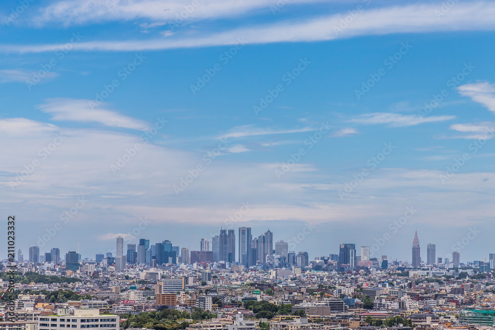 東京都全景　panoramic view of the capital Tokyo