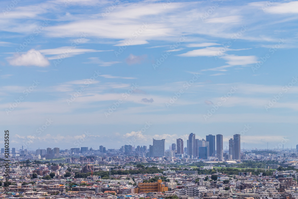 東京都全景　panoramic view of the capital Tokyo