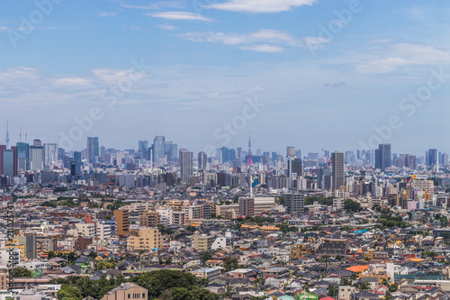 東京都全景 panoramic view of the capital Tokyo © norikko