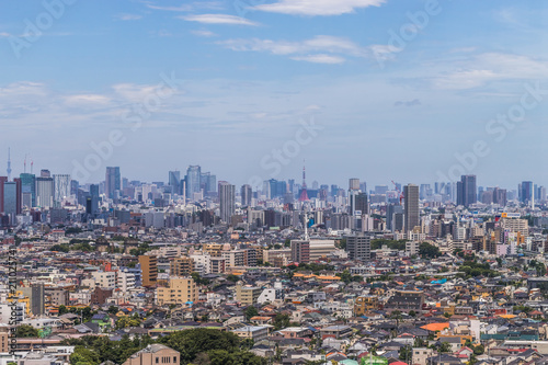 東京都全景 panoramic view of the capital Tokyo