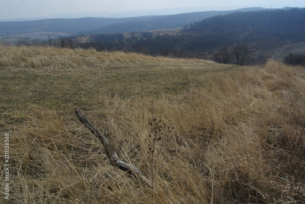 Landscape and Sunset