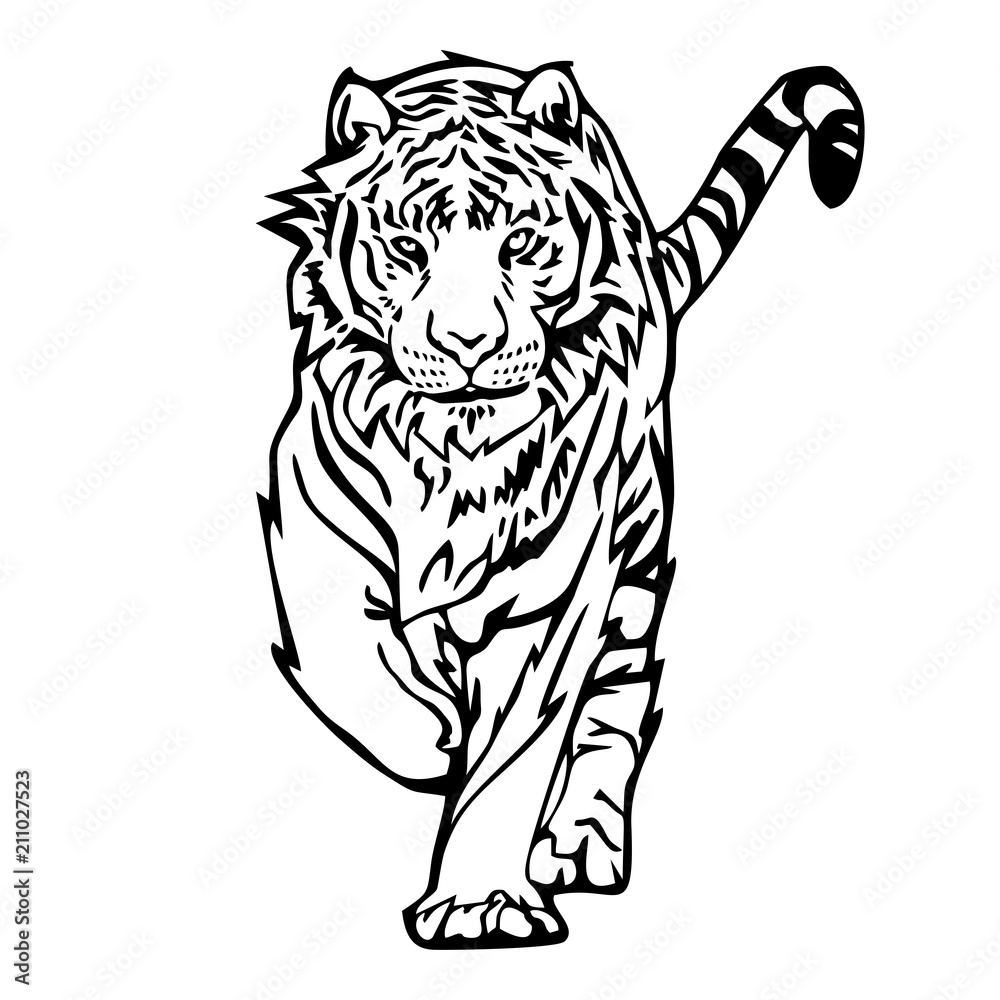 How To Draw A Japanese Tiger Tattoo Step by Step Drawing Guide by Dawn   DragoArt