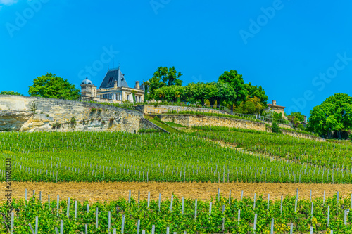 Fotografia, Obraz Vineyards at Saint Emilion, France