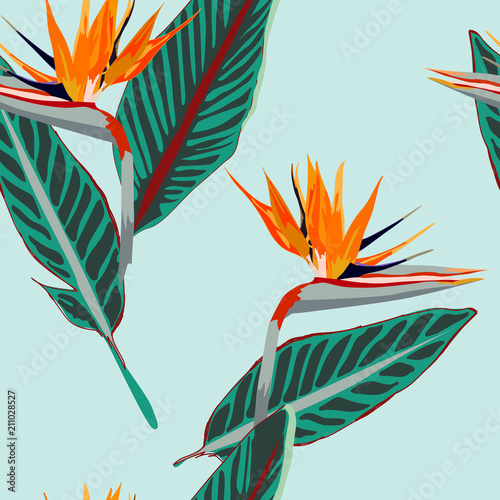 Royal Strelitzia. spring time contemporary bird of the paradise flowers seamless pattern. 