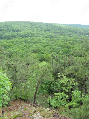View over the forest from the Lantern Hill hiking trail in Connecticut 