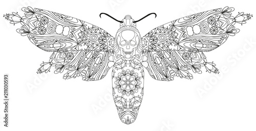 Zentangle stylized butterfly. Hand Drawn lace vector illustration