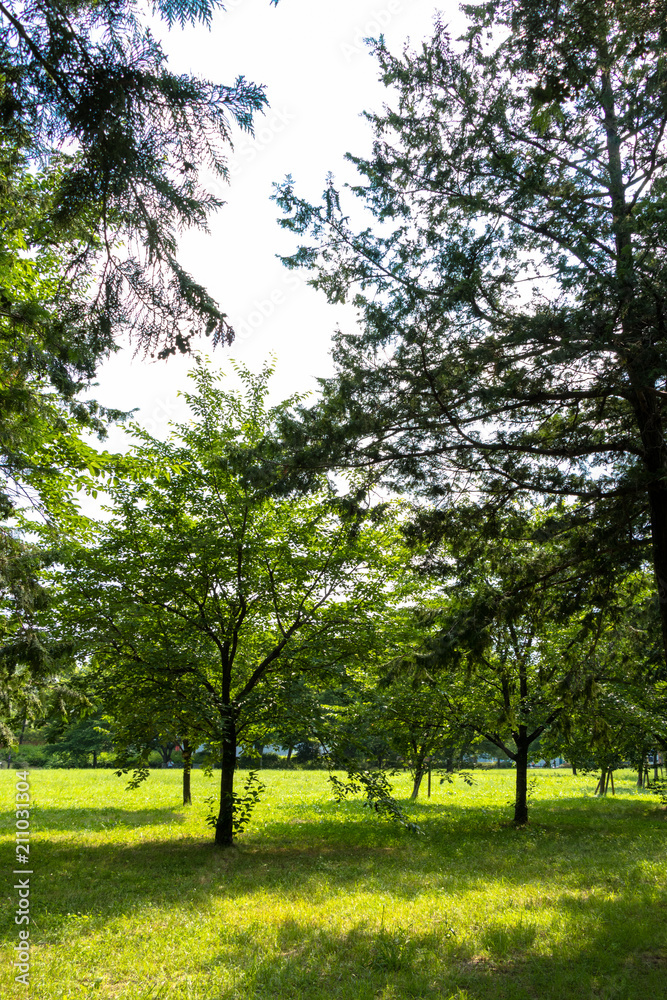 Landscape of Toneri Park in Tokyo / Toneri park is a public park in Tokyo Landscape of Toneri Park in Tokyo / Toneri park is a public park in Tokyo