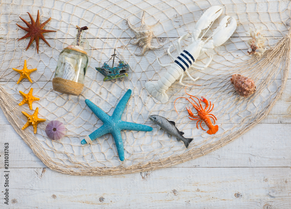 decorative fishing net with seashells decorative fishing net with seashells