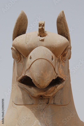 Head of Homa, mythical Persian bird