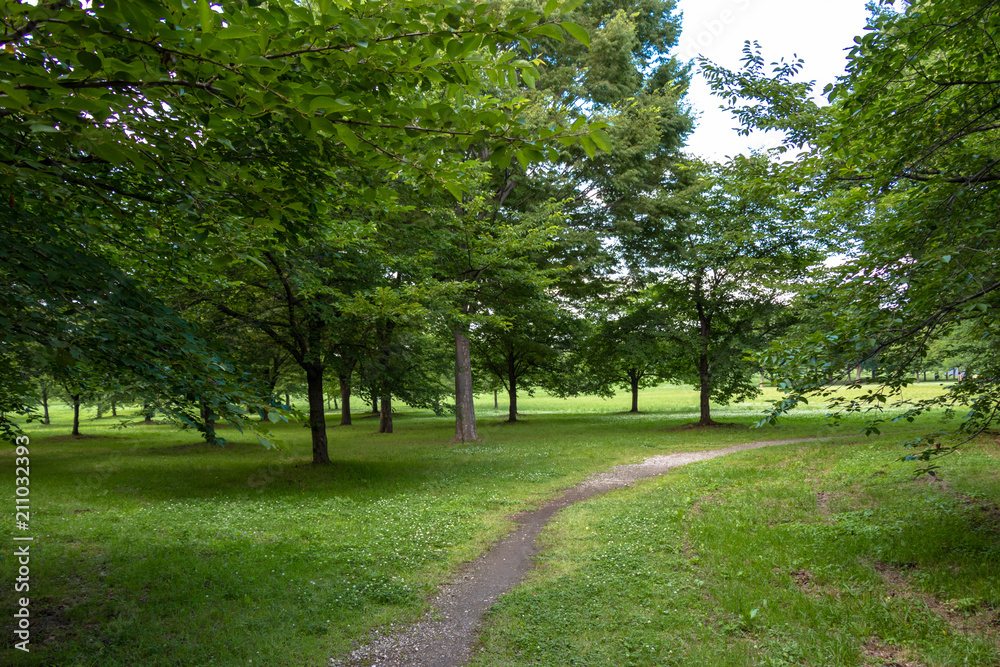 Landscape of Toneri Park in Tokyo / Toneri park is a public park in Tokyo