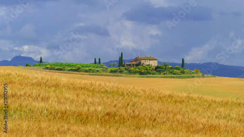 Tuscany landscape - fields, vineyard, meadow and forest, Val d'Orcia, Italy © Milan