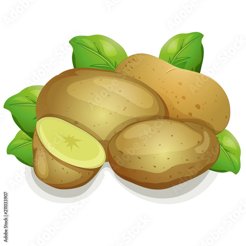 potato vector illustration
