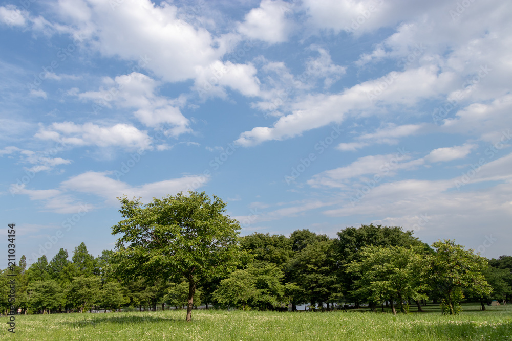 Landscape of Toneri Park in Tokyo / Toneri park is a public park in Tokyo Landscape of Toneri Park in Tokyo / Toneri park is a public park in Tokyo