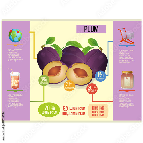 plum infographic vector