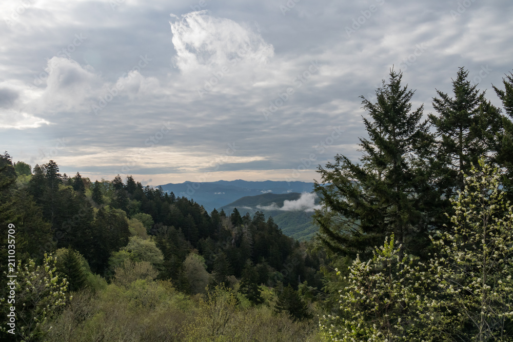 Cloudy morning in the Great Smoky Mountains National Park, Tennessee, USA Cloudy morning in the Great Smoky Mountains National Park, Tennessee, USA