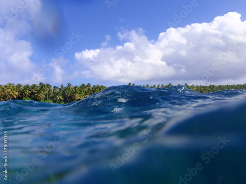 Island view from the water.