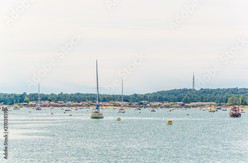 Coastline of Arcachon bay in France photo