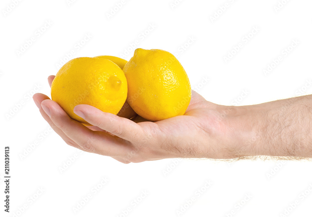 Two lemons in a hand on a white background isolation Two lemons in a hand on a white background isolation