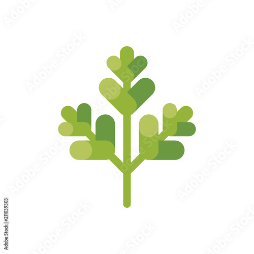Parsley leaf flat icon. Colorful green leaf  flat illustration