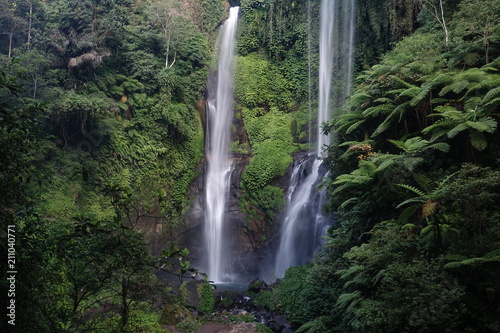 Sekumpul Beautiful waterfall Sekumpul in deep forest in Bali  Indonesia