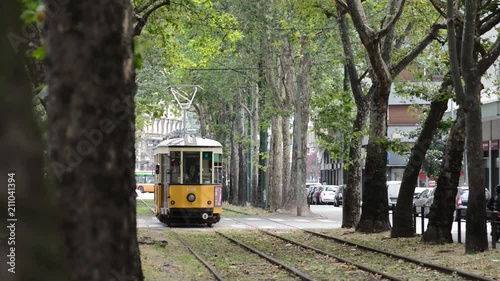 Un viale di MIlano con Aceri e foglie al vento delimita la linea tramviaria