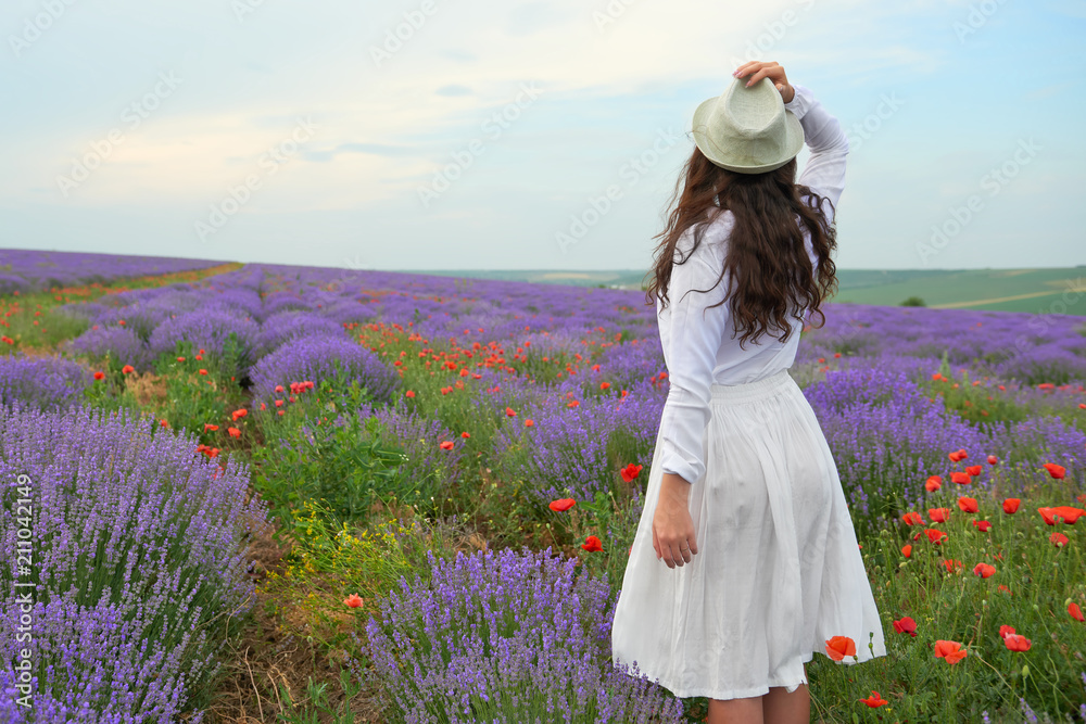 Fototapeta premium young girl is in the lavender field, beautiful summer landscape with flowers