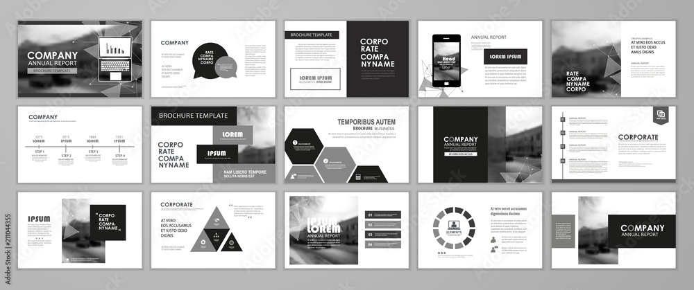 Fototapeta premium Сorporate slideshow templates
