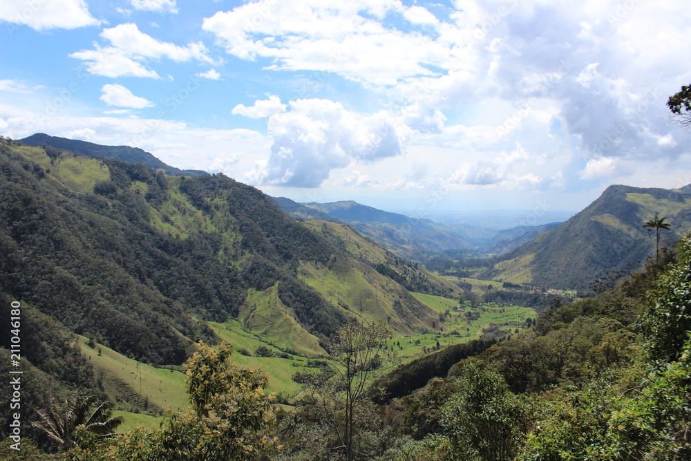 Valle de cocora, colombia