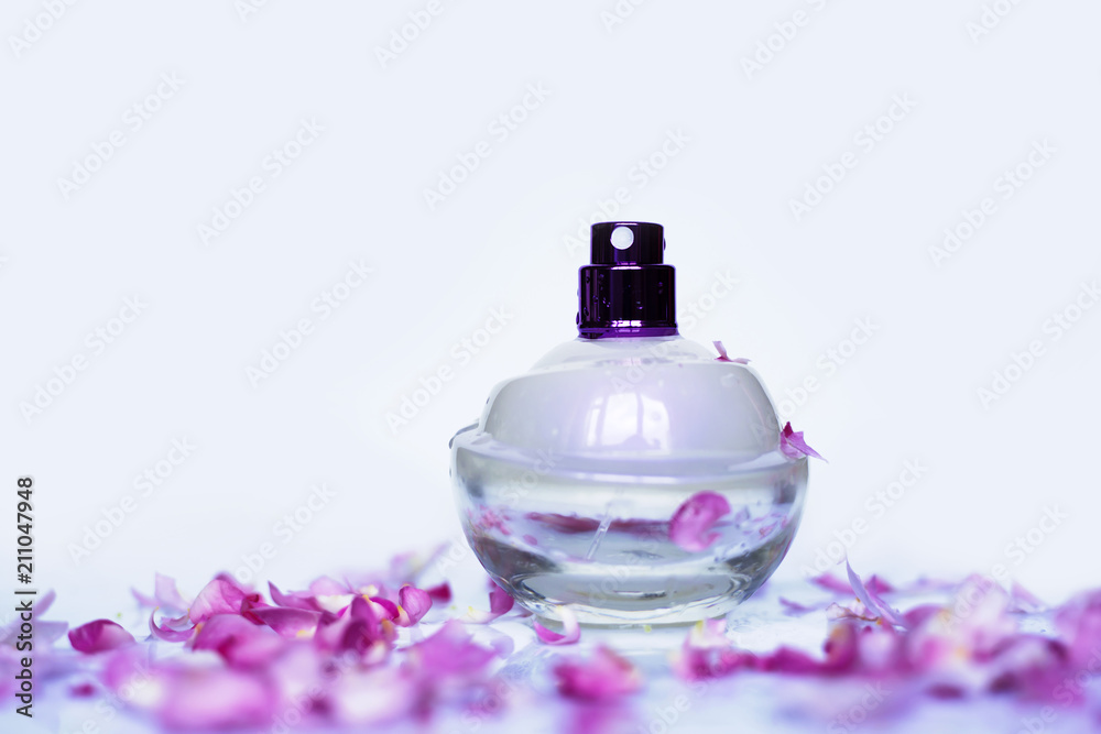 perfumery perfumery