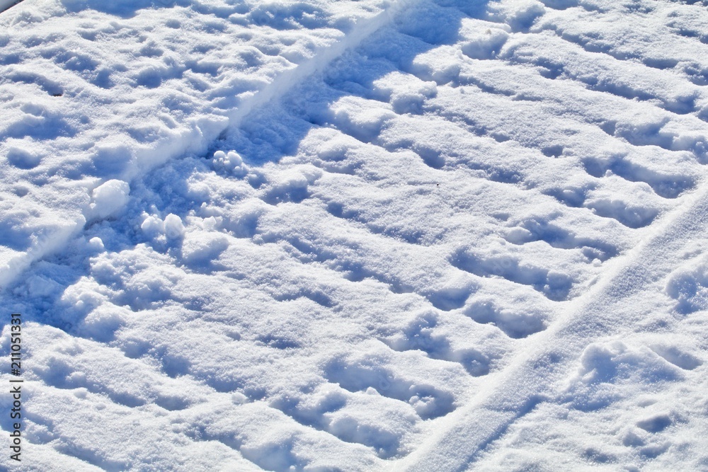 Fototapeta premium Fresh Snowmobile Tracks