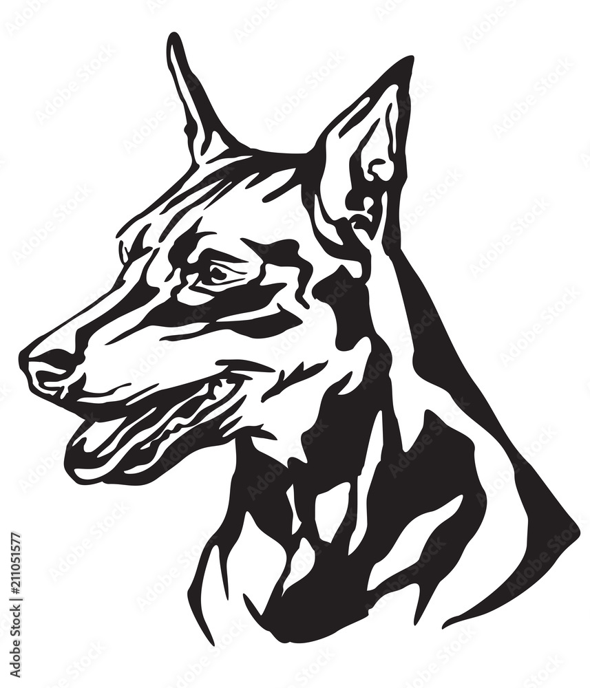 Decorative portrait of Dog Miniature Pinscher vector illustration