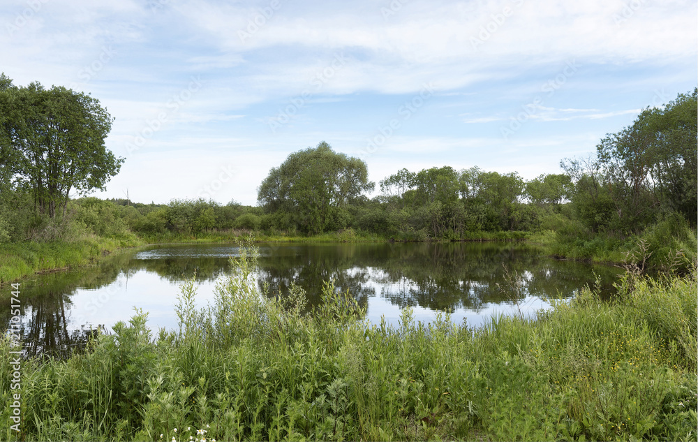 A picturesque pond with overgrown green banks and clouds in the blue sky. Sunny summer morning. A picturesque pond with overgrown green banks and clouds in the blue sky. Sunny summer morning.