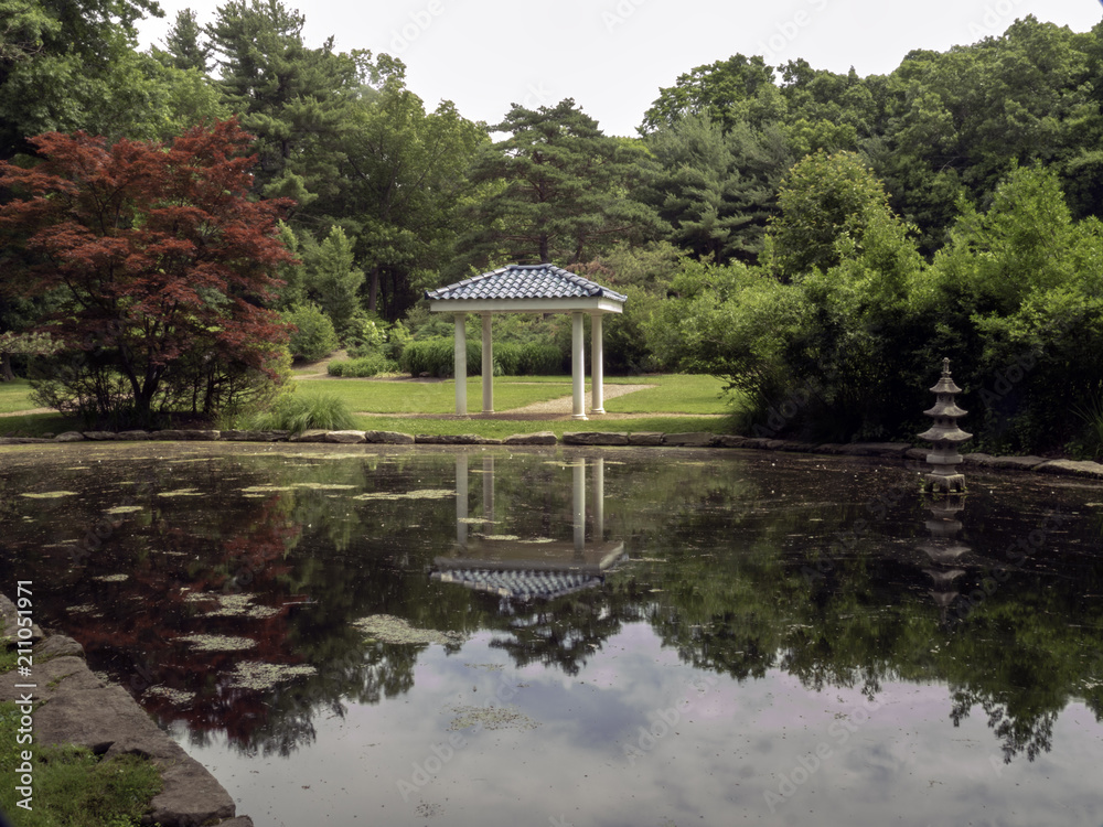 Fototapeta premium Garden Pond