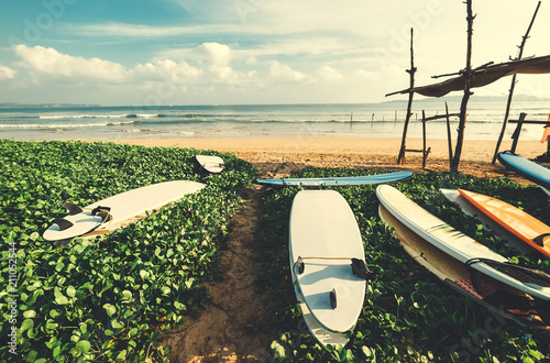 Surfboards are on the beach at erly morning time on the surf point in Sri Lanka