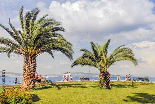 Istanbul, Turkey, 3 August 2012: Palms at Buyukada, Princes Islands district of Istanbul