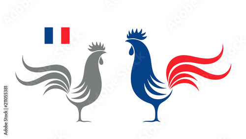 French rooster. Isolated rooster on white background photo