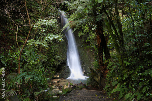 Waterfall, New Zealand