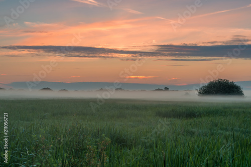 Natural Park of Biebrza Valley - sunrise over medow and pool