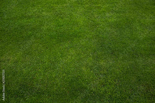 soft focus stadium green grass background texture concept with empty space for copy or text © Артём Князь