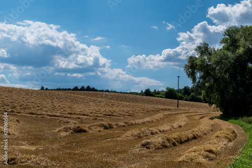 Stoppelfeld photo