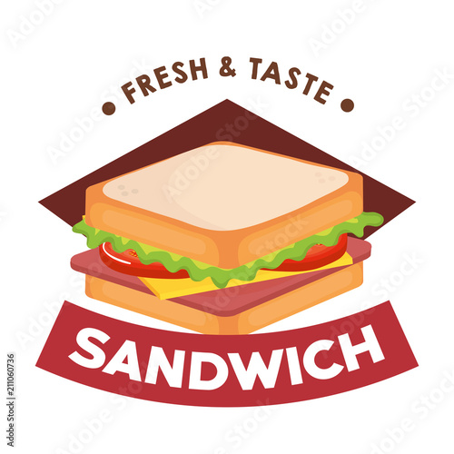 delicious sandwich fast food vector illustration design