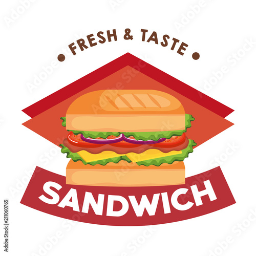 delicious sandwich fast food vector illustration design