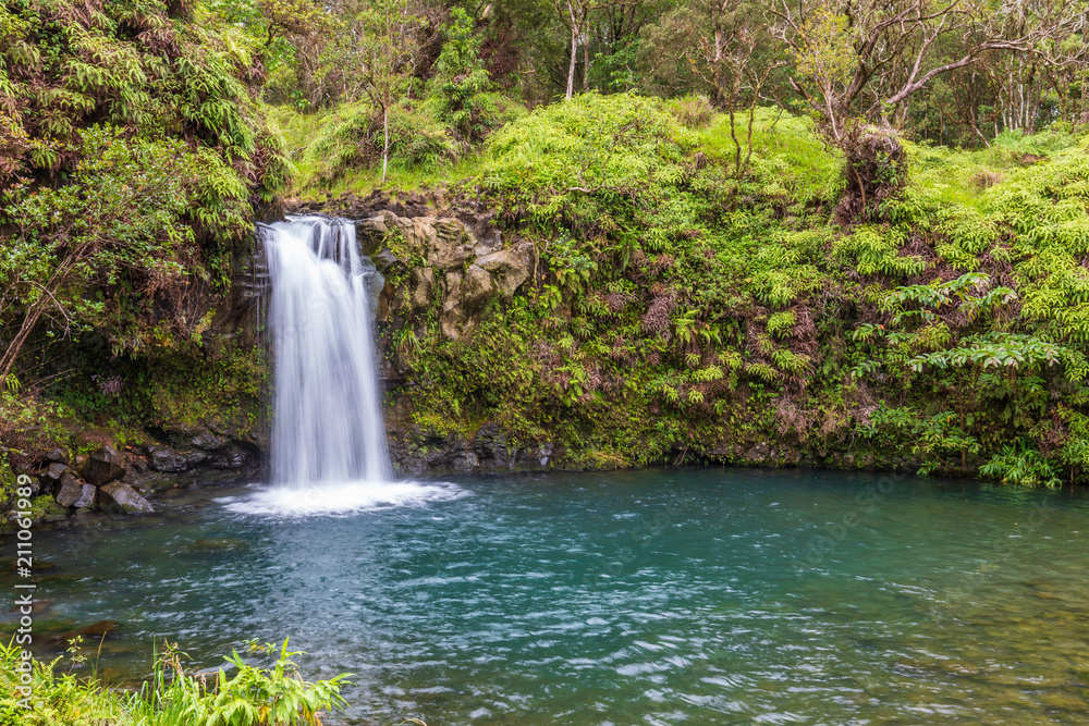 Scenic Tropical Maui Waterfall